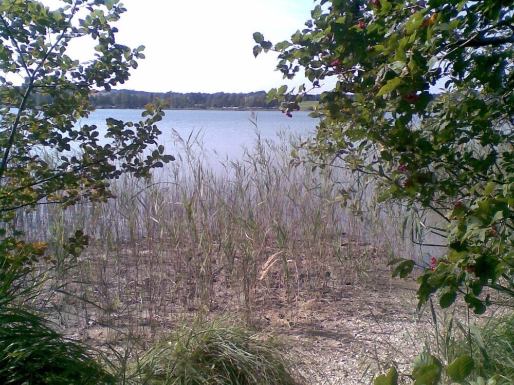 Bild062.thumb.jpg.8c00019e0bc520c7d1554672fd75157f.jpg