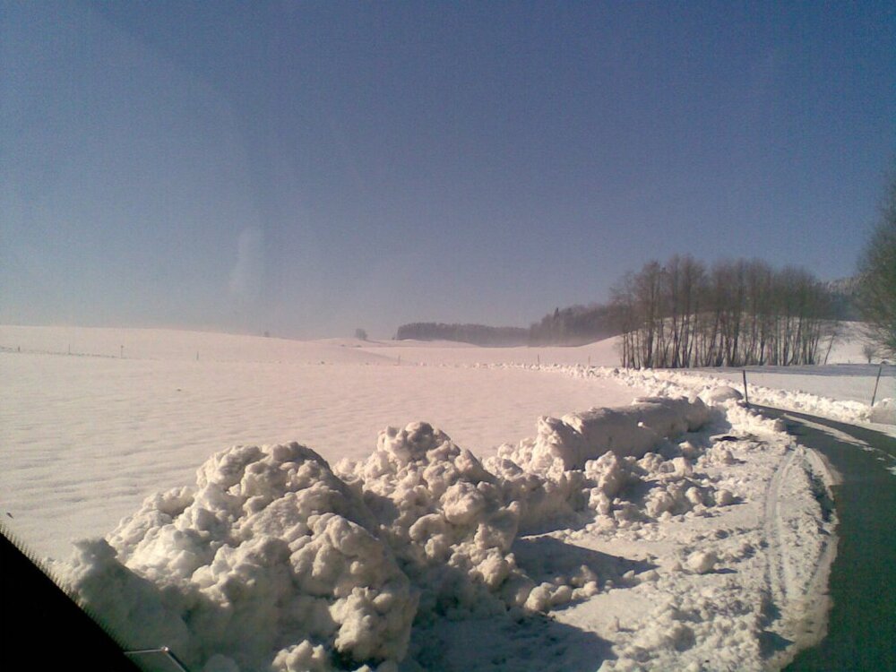 Bild098.thumb.jpg.c356b042252db01b8def89d9d2c5644a.jpg