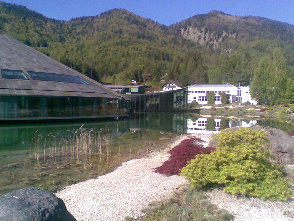 Bild134.thumb.jpg.6e391bc656f50e1f279392c97acaf0d0.jpg