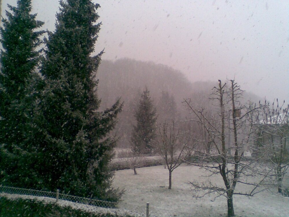 Bild140.thumb.jpg.5de0d1261e10e9fd2f6a2105c759c337.jpg
