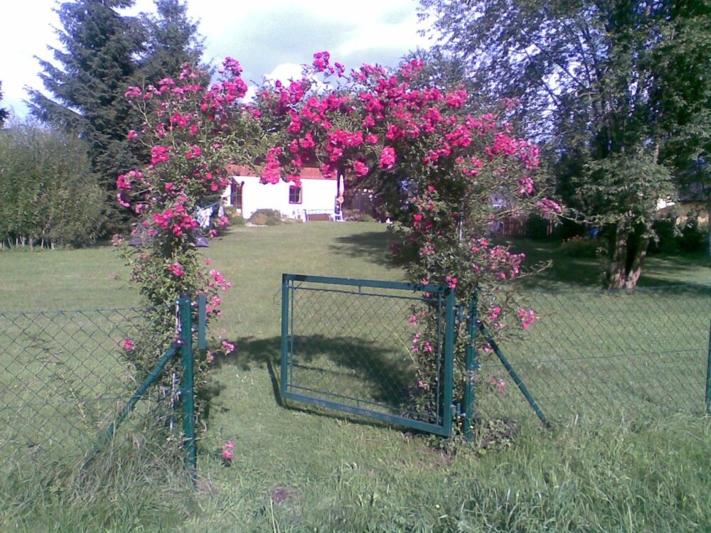 Bild155.thumb.jpg.0cb65b0fb418b9b0730fb54f61e72366.jpg