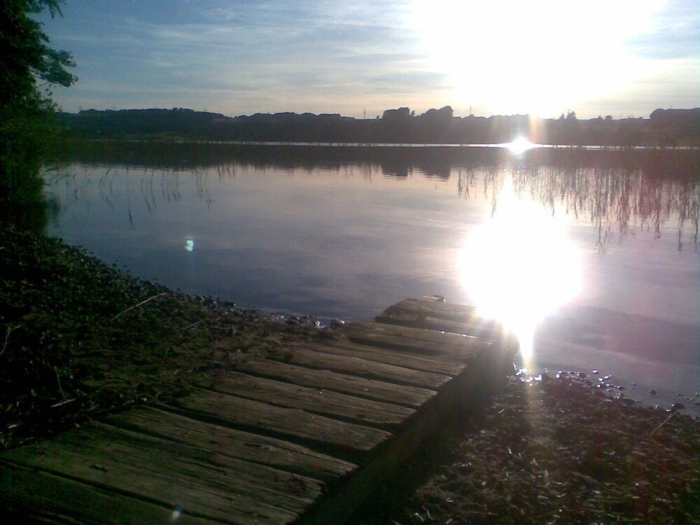 Bild189.thumb.jpg.f1dc09940a2ff65be0dd8f670fa3787b.jpg