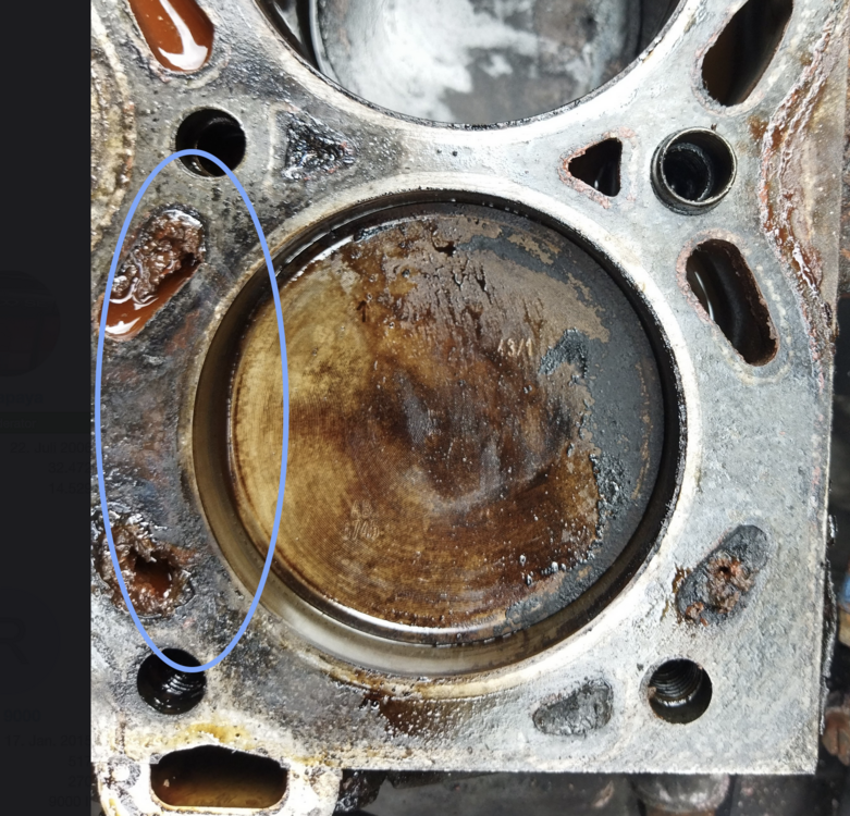 Bildschirmfoto2025-03-23um10_37_50.thumb.png.7f1f34732dcdef0ed3543a26837e4828.png