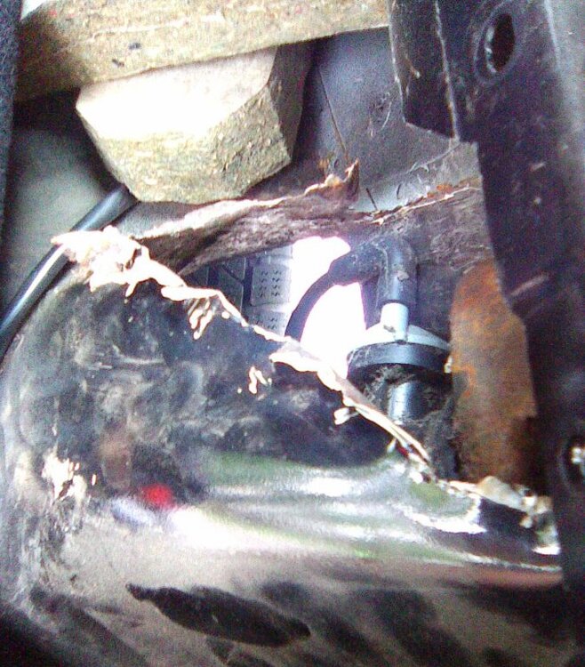 Box7.thumb.jpg.37927865915308ac1fc89bf35f644a37.jpg