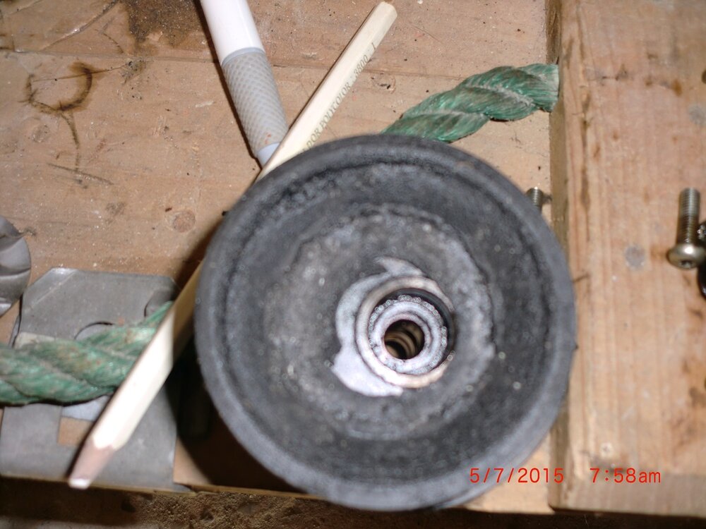 CIMG0844.thumb.jpg.bb9196682eab50d5b9b6a67a4ec2612b.jpg