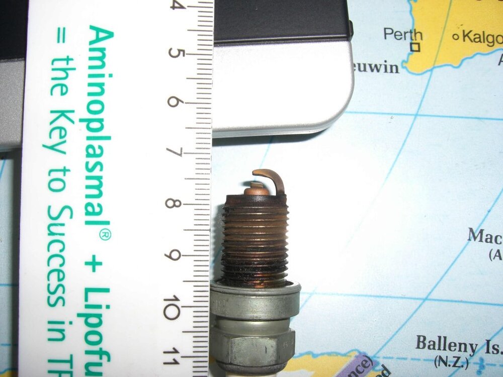 CIMG1521-1.thumb.jpg.c36278a330eb31c121a4746bb32a19a3.jpg