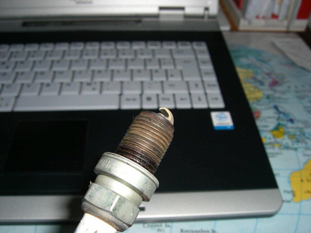CIMG1525-1.thumb.jpg.db062cb48a45cbdb4b098fcc4f636c0f.jpg