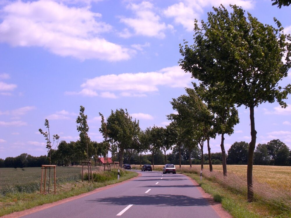 CIMG3875.thumb.jpg.6b80a1c68dba822b17ed58e70ddd9bd8.jpg