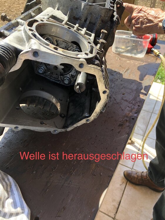 D211327B-7038-4AF5-B6FA-489CB82CAF97.thumb.jpeg.6a2036b505fe67ad03ebfd7264e2307e.jpeg