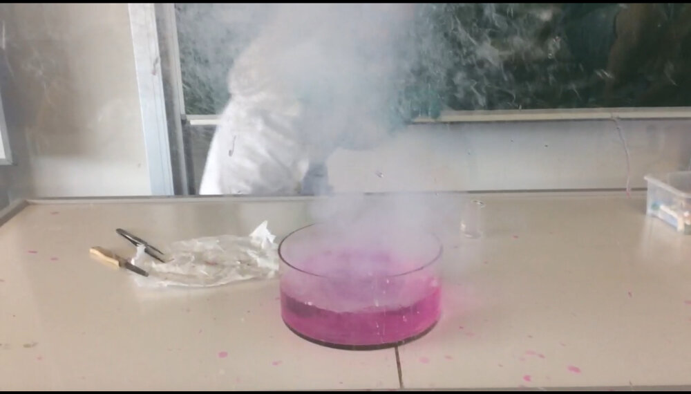 D4674567-D4EB-4733-8337-FBD0CB85A108.thumb.jpeg.a08686cb993455d2b03fadc98b782b2c.jpeg
