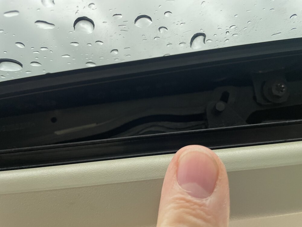 D52B8E4F-C59E-4C01-9A8B-71A26066E824.thumb.jpeg.db75fbe111b45133739997509d30dd69.jpeg