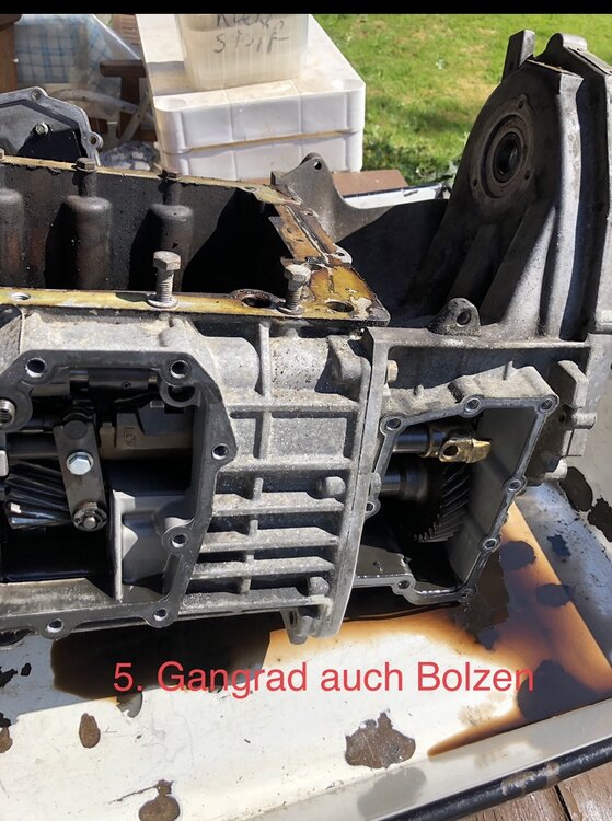 D6AB929E-689C-4373-A226-D658E2E138F6.thumb.jpeg.153dee0e3aa5add2f961961d3d5a9e5f.jpeg