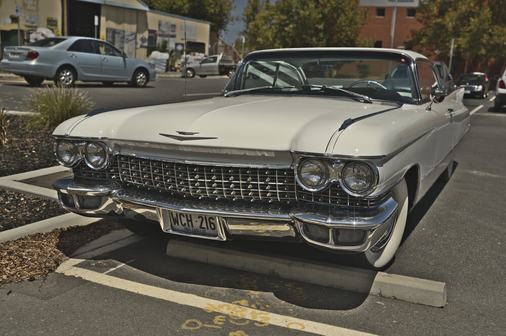 D85_9693.thumb.jpg.6529d7b2c5054d5a2527c7ac0fb833b3.jpg