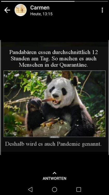 D99E5501-EF2B-4DB2-AFEE-9B7237D22E4A.thumb.jpeg.7db6da72faaacb870d8dd9574a3b95c0.jpeg