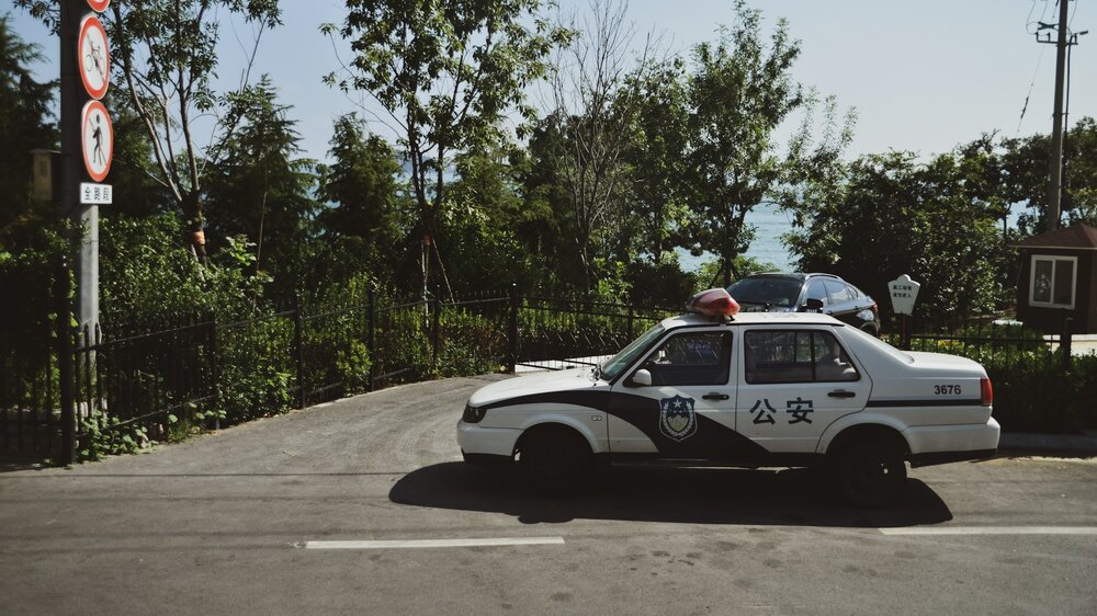 DDEAF50C-AE12-443A-802C-4E19A62454D8.thumb.jpeg.3e06d19eeaee7b384ff9e3f67355dddb.jpeg
