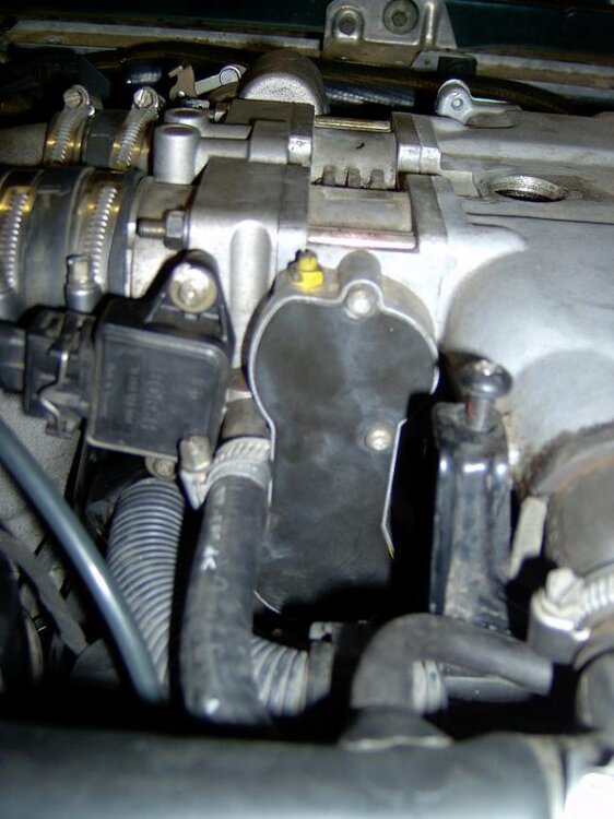 DKMotor.thumb.jpg.62ee34ebab5118d9ce89a46d8660a8ec.jpg