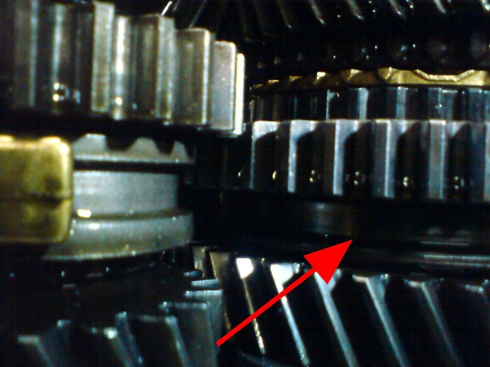 DSC00003.thumb.jpg.4e1ecd805995bb18d3d237b3c41ee704.jpg