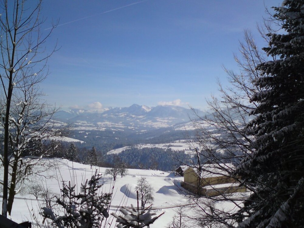 DSC00176.thumb.jpg.5c35d70befa4d2dafb7e58be88d6d644.jpg