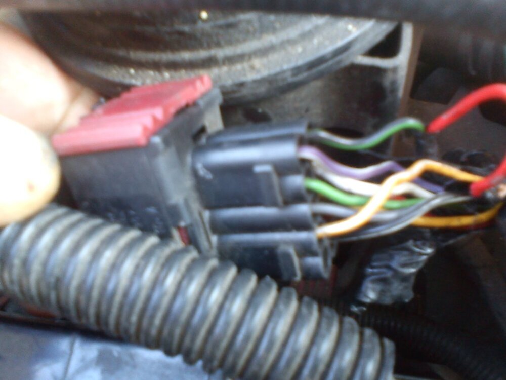 DSC00199.thumb.jpg.35646e5c7e314c2c2566ea50fc67cca3.jpg