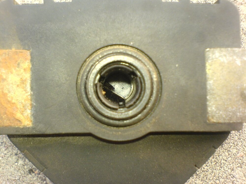 DSC00227.thumb.jpg.b0bb0fe3f67fc85b6b32c5fc04519838.jpg