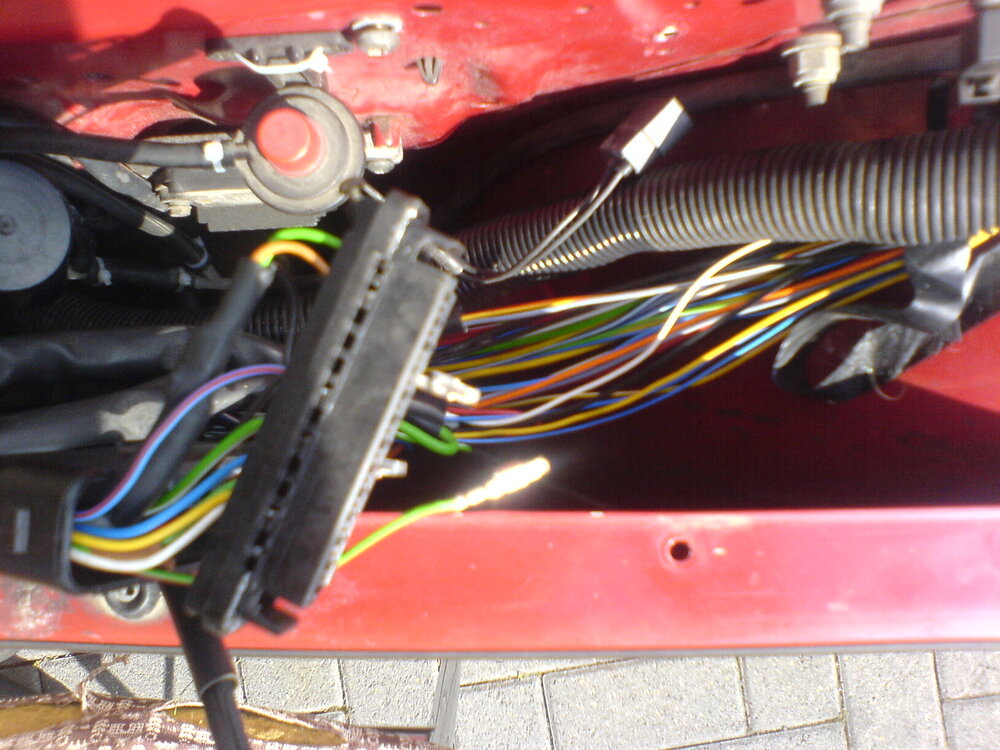 DSC00251.thumb.JPG.a240180fe1b9564be7afc64928e1a38e.JPG