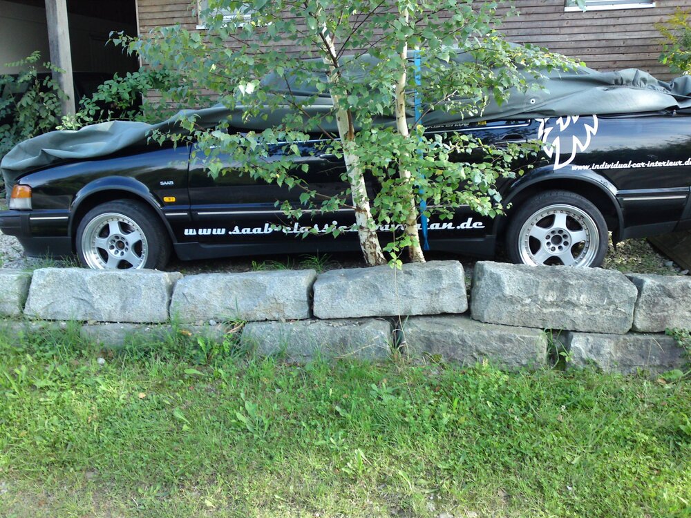 DSC00522.thumb.JPG.60a7ee01313ed7d141b5b6c2e2ef23d4.JPG