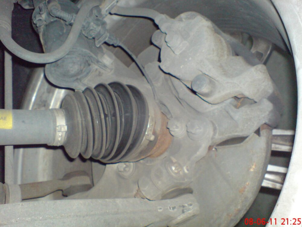 DSC01174.thumb.jpg.58f4686a2a75f3f3efaa6df87deca17b.jpg