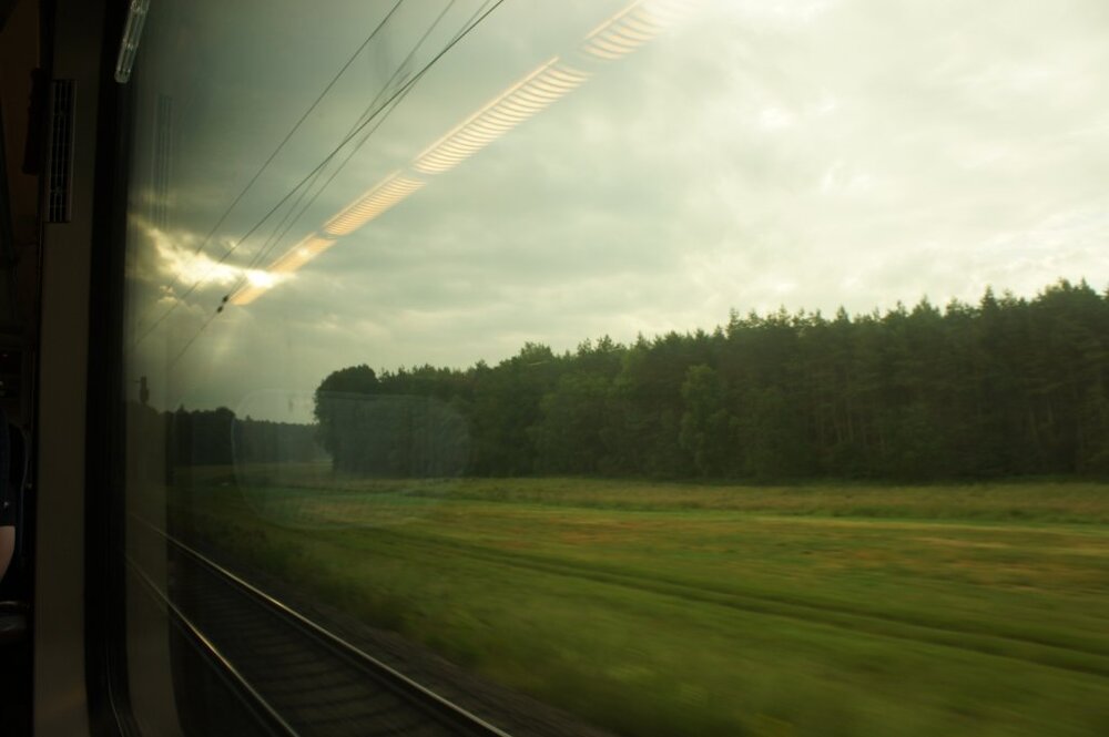 DSC07871.thumb.jpg.53e663a7b318ed26d12369abe2447285.jpg