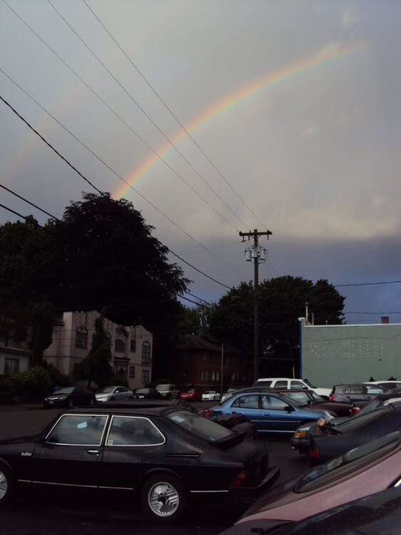 DSC08994.thumb.JPG.7be99ec8640da6526fd0c7be7c18b0d7.JPG