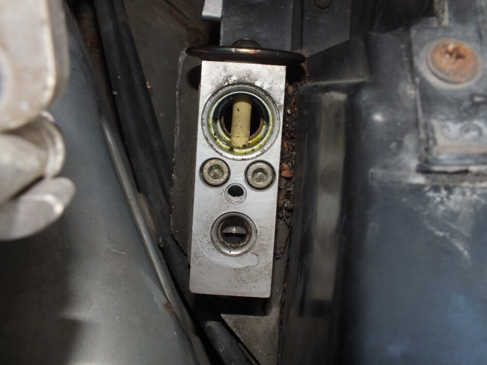 DSCF3997a.thumb.jpg.ea26a432a788ce8b82a453be2a75f26c.jpg