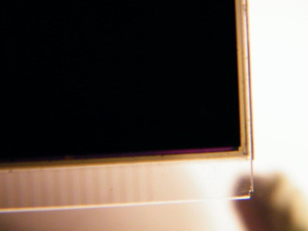 DSCF6033.thumb.jpg.b0c6ac1549821c8112e3bf7cab0b174d.jpg