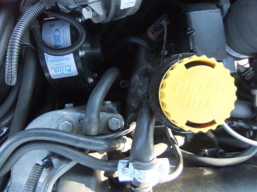 DSCF7942.thumb.jpg.a8111673bbeab648f65d85a316f5c6bb.jpg
