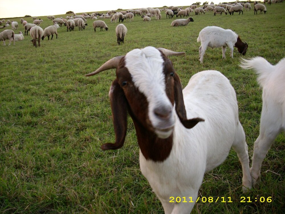 DSCI0693.thumb.jpg.b8a44551d04020e7fa66864fb729cd27.jpg