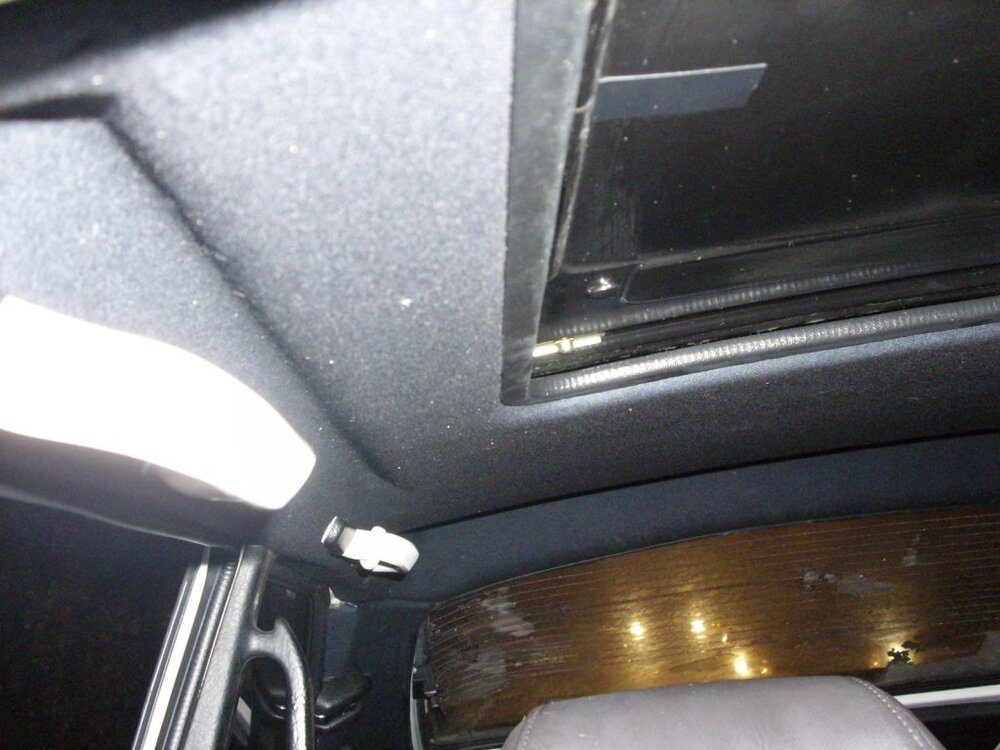 DSCI1037.thumb.jpg.c2f9da22a31fa1f35c4d81fa19e1aaa6.jpg