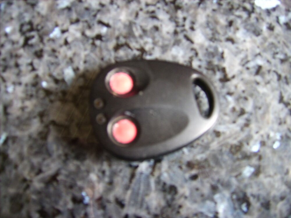 DSCI3083.thumb.jpg.4a14627bbb49a0f51fbdf7570412e82b.jpg