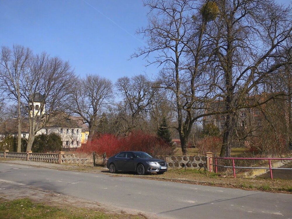 DSCI5410a.thumb.jpg.4d8745dd0d1a4a28eee91d114b466f8a.jpg