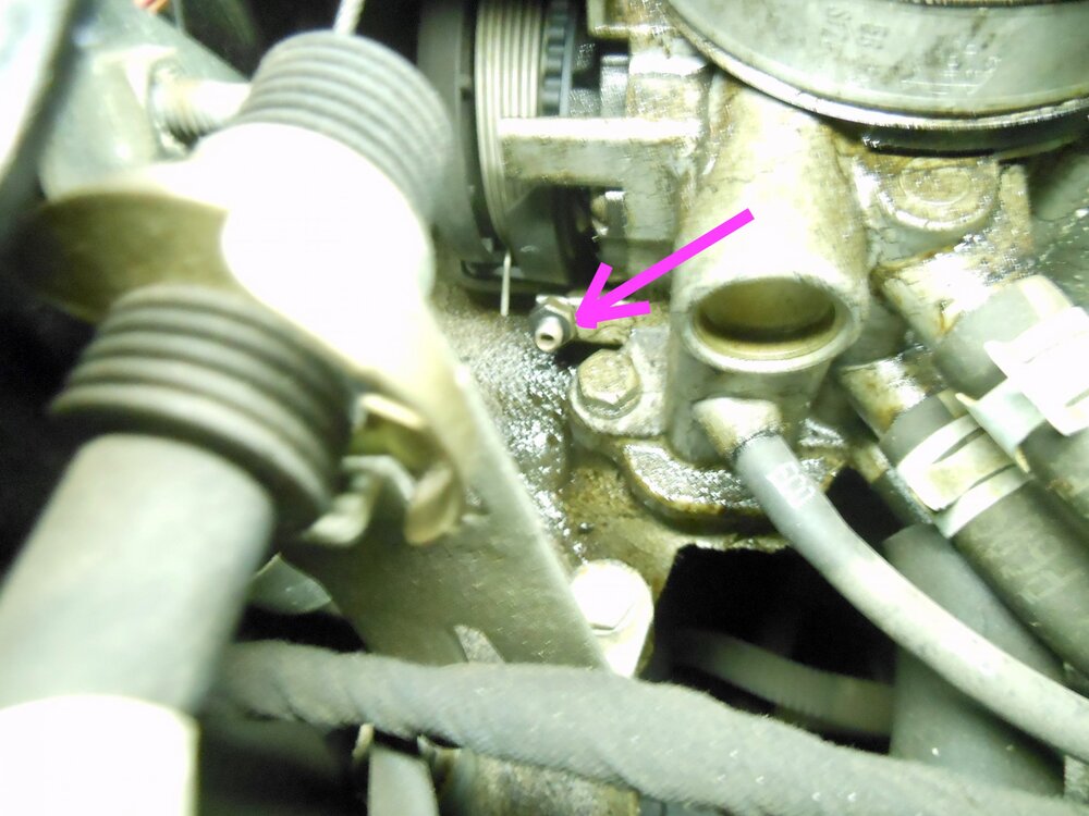 DSCN0582.thumb.jpeg.3d6a7275a7a74c3d75e3fd86c71eaa2d.jpeg