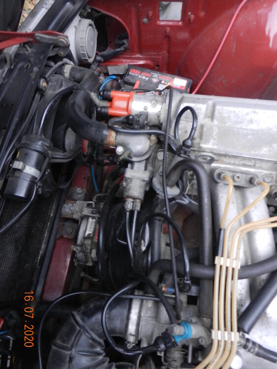 DSCN1029.thumb.JPG.a40fb32dc0e761dddaa9af841a97342c.JPG