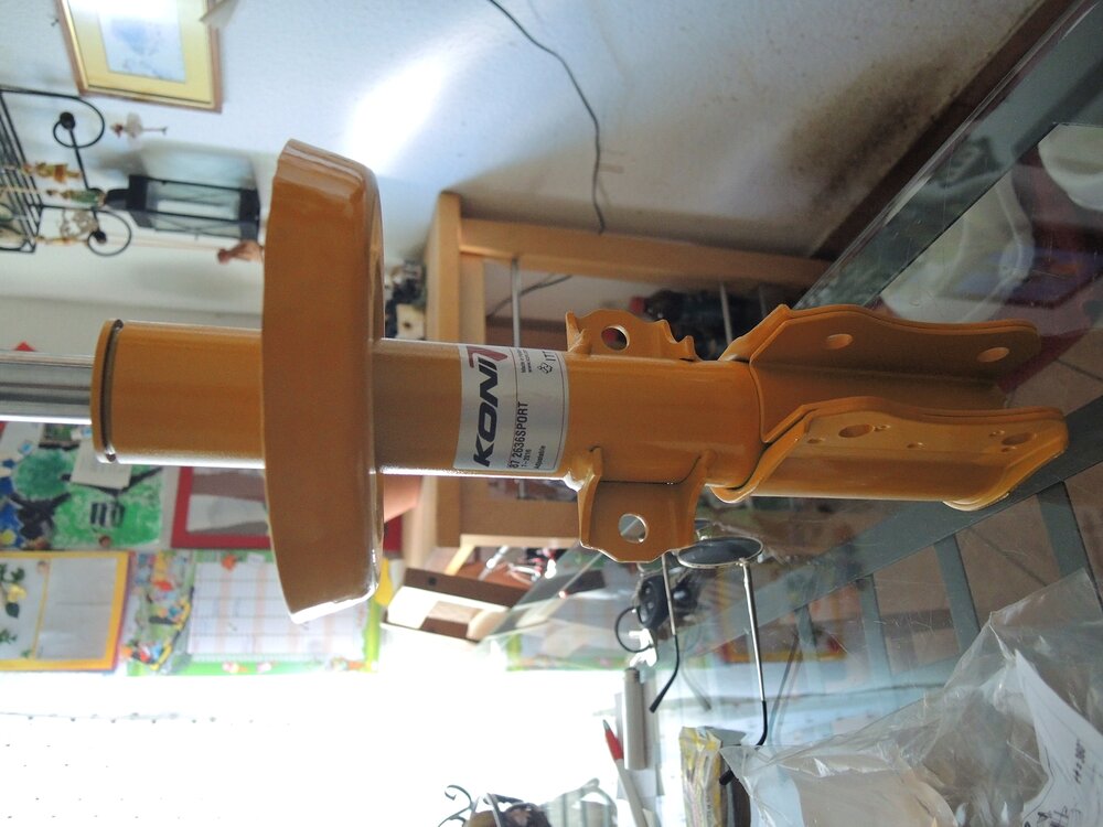 DSCN1187.thumb.JPG.fb296720aa8df24f7356261b82ea7460.JPG