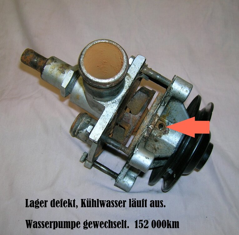 DSCN1554.thumb.JPG.b261efbf63989f1ade9d4f450c33a36f.JPG