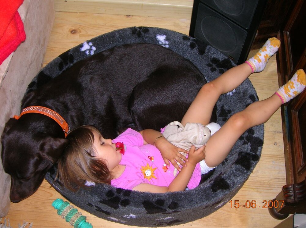 DSCN1809.thumb.jpg.9f23a8d54e32cd4b3dd7c6ed0c1d543b.jpg