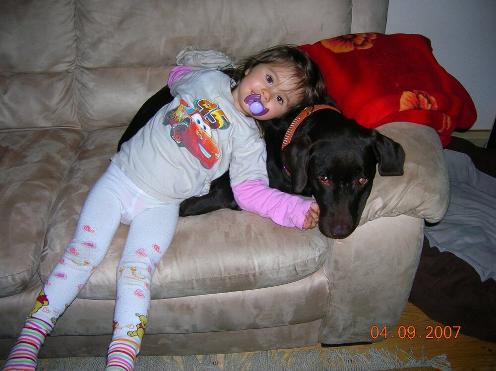 DSCN1993.thumb.jpg.af87df98a79e3403d0a7dbaefcde2b9b.jpg