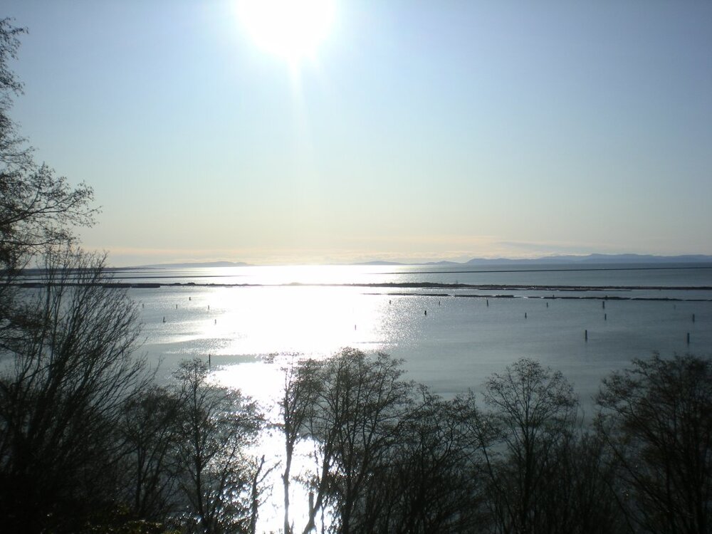 DSCN2777.thumb.jpg.bc6bb960614c34f8a676fb4f8c5ab2ad.jpg