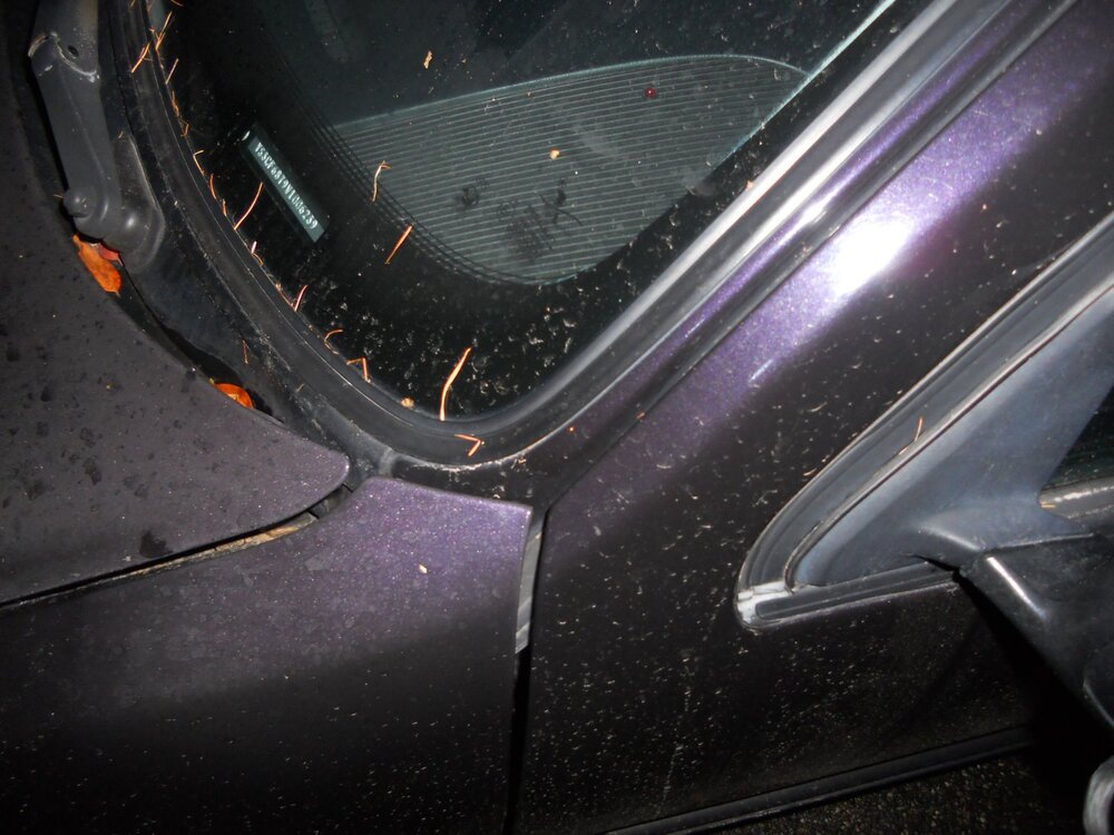 DSCN3051.thumb.JPG.1f125b2bbc2f714aaf4a760f51c6b8b6.JPG