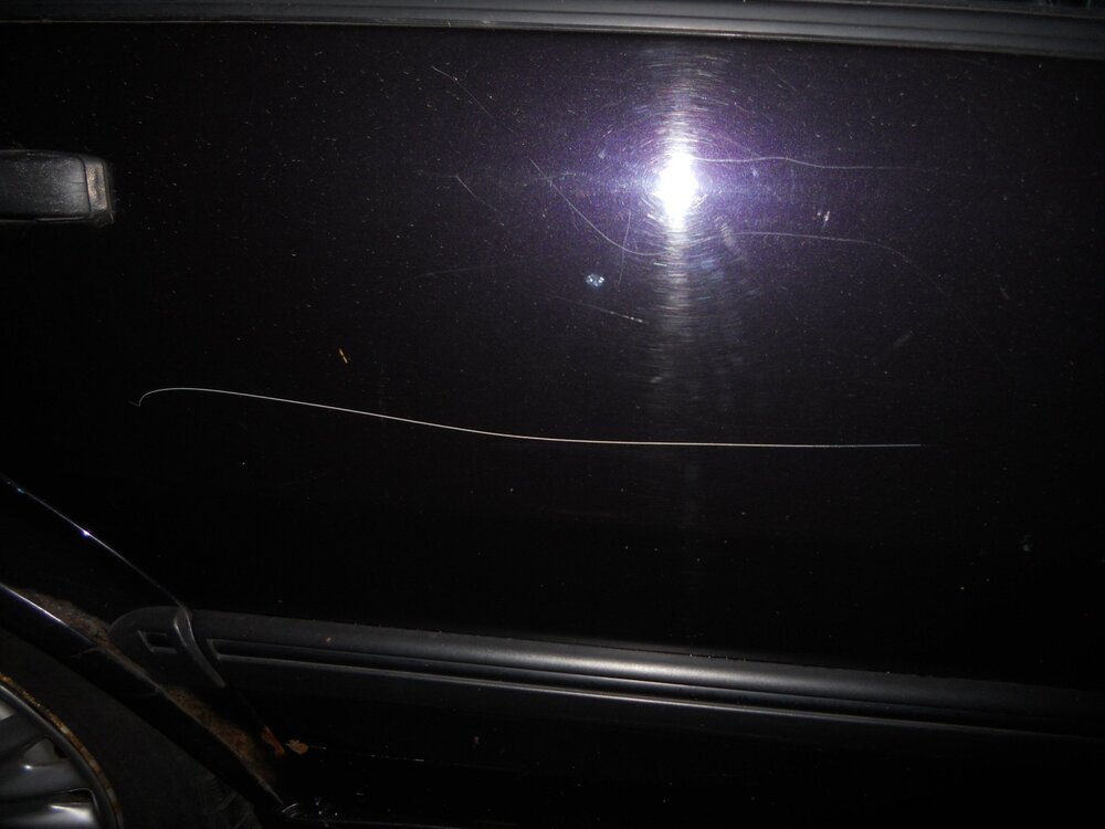 DSCN3056.thumb.JPG.79316163f328b948f10a06f865a7ca4c.JPG