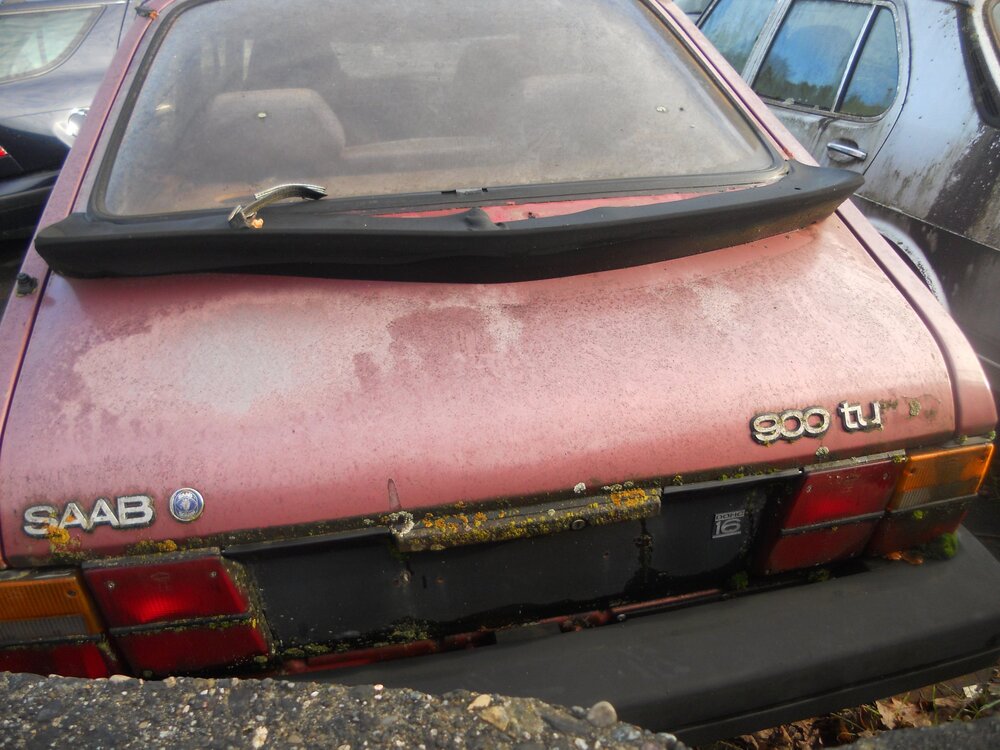 DSCN3554.thumb.JPG.38b15b3899cafbde2b7b65b3764b1bad.JPG