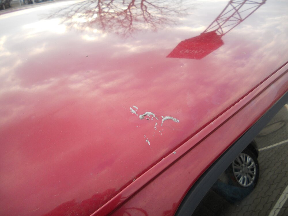 DSCN4864.thumb.JPG.2d22ec66c04253c6d9bb30551e76daa1.JPG