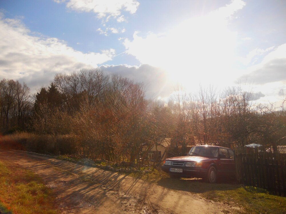 DSCN5114.thumb.JPG.f2e0efdb7415c933784dca1da194bc77.JPG