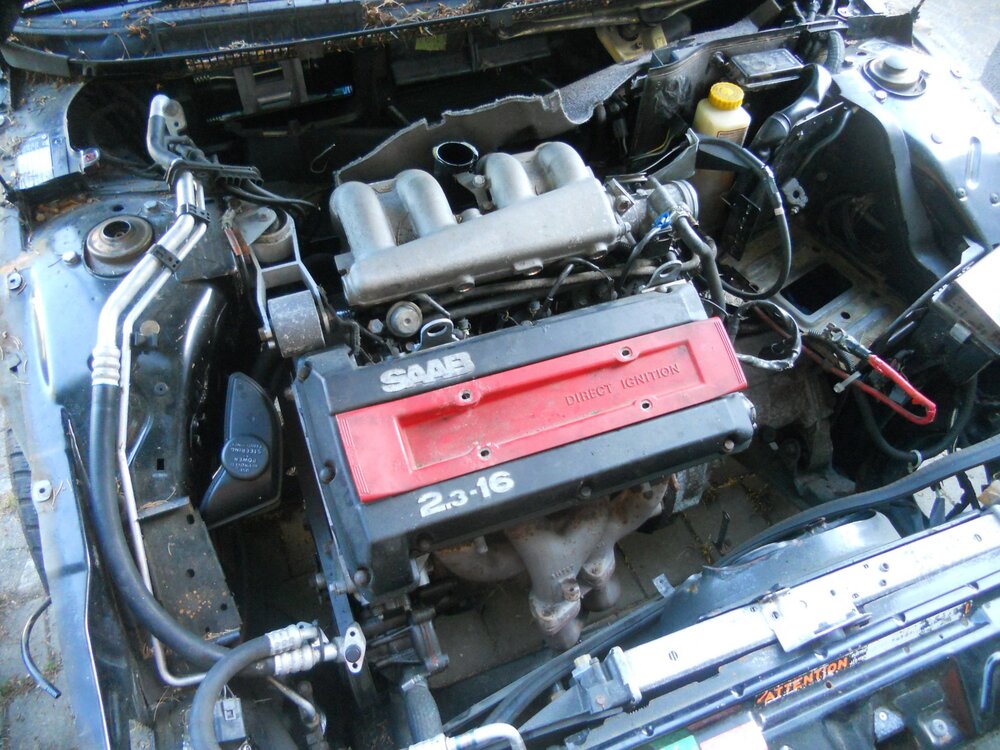 DSCN5989.thumb.JPG.bfce5f16c75e01351663f2c05d5d53cc.JPG