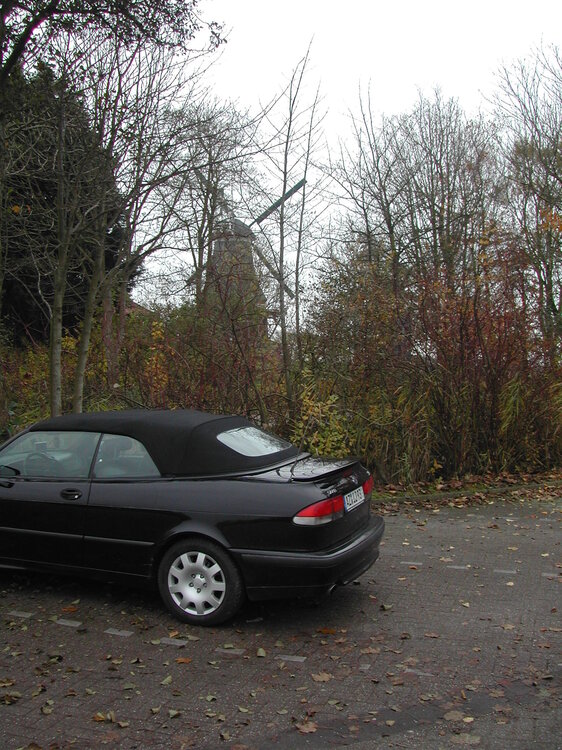 DSCN6496.thumb.JPG.083d18fa719c02746d4d628fb8221433.JPG